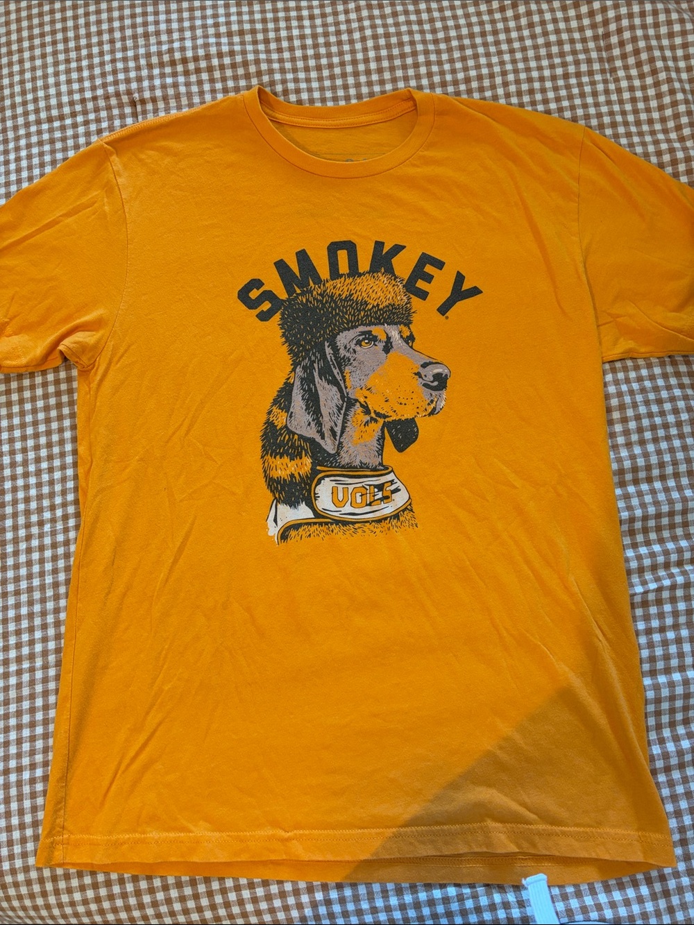 Tennessee Vols Smokey Homefield Tee